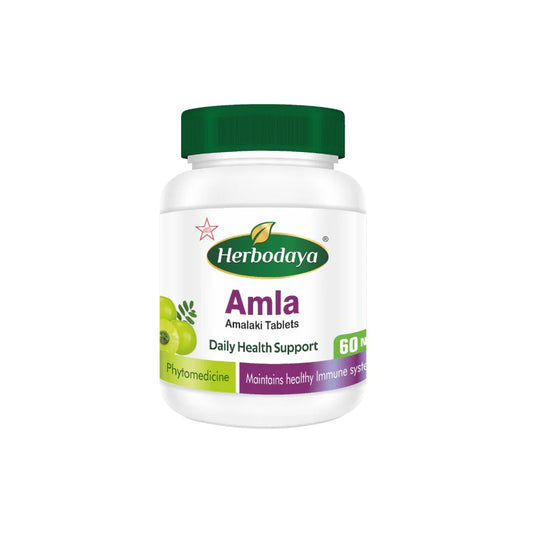 Skm Siddha Ayurveda Herbodaya Amla 60 Tablets