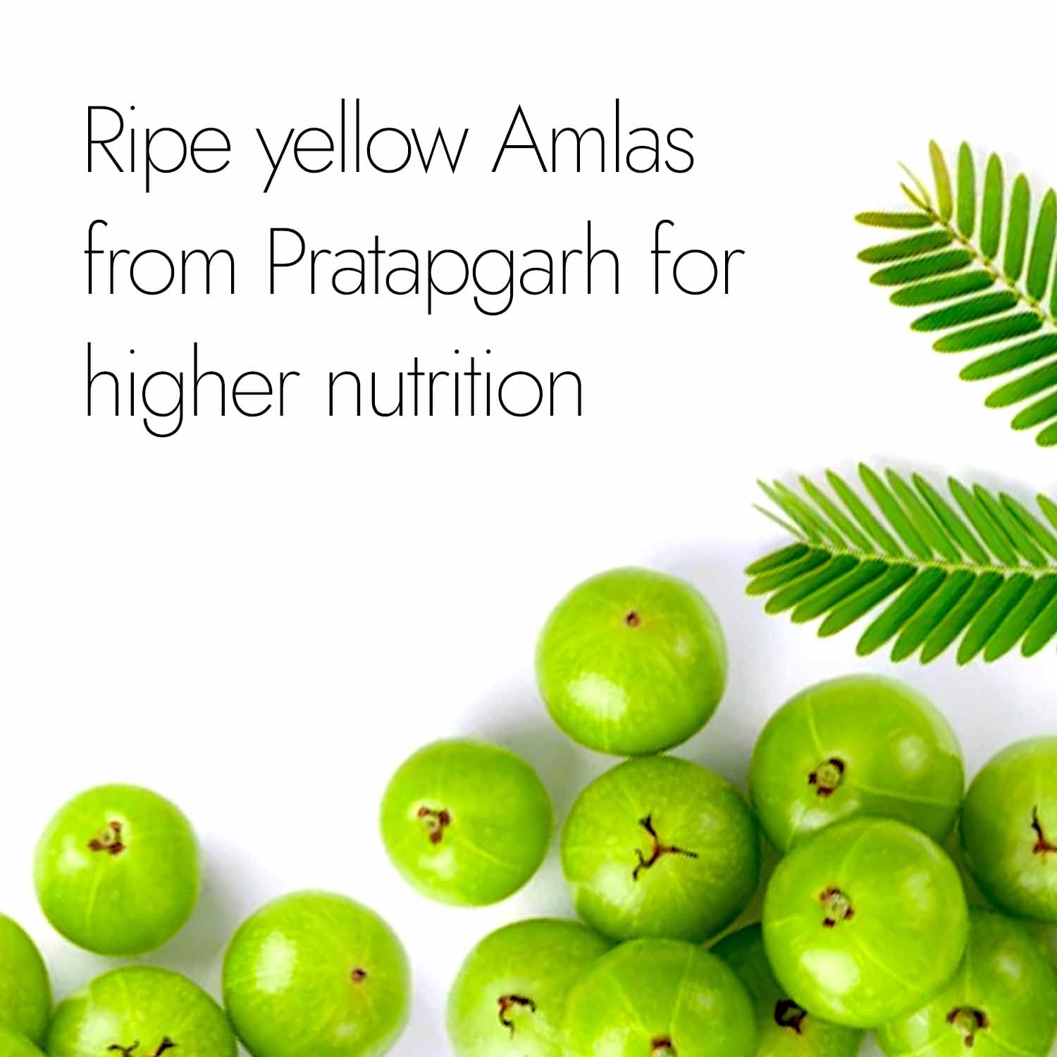 Kapiva Ayurvedic Triphala 500mg 60 Capsules