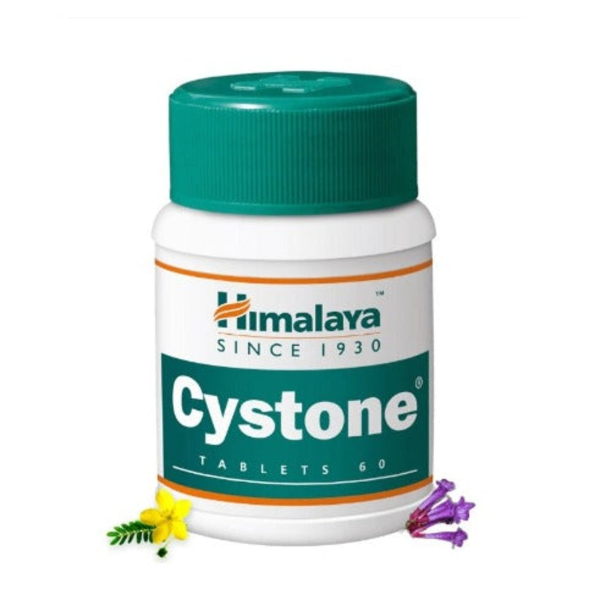 Himalaya Herbal Ayurvedischer Cystone 60 Tabletten