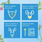 Organic India Prostate Care Capsules