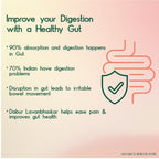 Dabur Ayurvedic Lavan Bhaskar Churna Powder 120gm