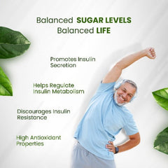 Добавка для поддержки диабета Himalayan Organics помогает контролировать уровень сахара в крови. 100% вегетарианский продукт (60 капсул).