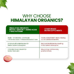 Himalayan Organics Biotin 10.000 mcg Nahrungsergänzungsmittel mit Keratin, Aminosäuren und Multivitamin, 120 vegetarische Tabletten
