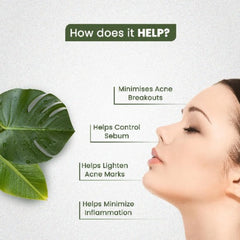 Himalayan Organics Anti-Akne-Ergänzung für klare, strahlende Haut, reich an Antioxidantien, blutreinigend, Haut-Wellness, 120 Kapseln