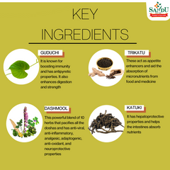Sandu Ayurvedic Amritarishta Liquid