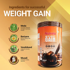 Patanjali Nutrela Weight Gain Chocolate Flavor Powder