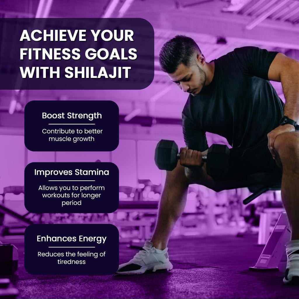 Leeford Shilajit 60 Tabletten