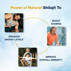 Leeford Hindratan Himalyan Pure Shilajit 60 Tablets