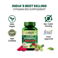 Himalayan Organics Pflanzliches Vitamin B12 Natürlich 60 Vegetarische Kapseln