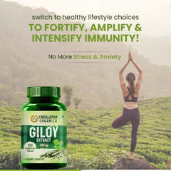 Himalayan Organics Giloy-Extrakt Immunitätsverstärker Hilft bei der Blutreinigung 120 vegetarische Tabletten