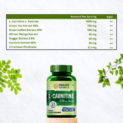 Himalayan Organics L-Carnitin 2000 mg/Portion, unterstützt Muskelregeneration, Fettverbrennung und Energie, vegetarische Tabletten