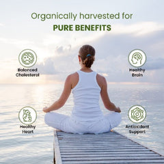 Himalayan Organics Органический порошок корицы/далчини для поддержки сердца, познания, хорошего холестерина (350 грамм)