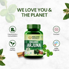 Himalayan Organics Ayurvedische Arjuna-Tabletten, unterstützt die Herzgesundheit, reguliert den Cholesterinspiegel (120 Tabletten)