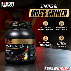 Leeford Megagrow Mass Gainer Banana Flavour With Shaker Powder 1 Kg