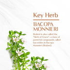 Maharishi Ayurveda Brahmi 60 Tablets