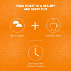 Maharishi Ayurveda Gut Health Ayurvedic Formulation 60 Tablets