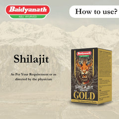 Baidhyanath Ayurvedic Shilajit Forte With Gold 20 Capsule