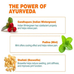 Himalaya Herbal Ayurvedic Rumalaya Обезболивающий массажный гель 30 г
