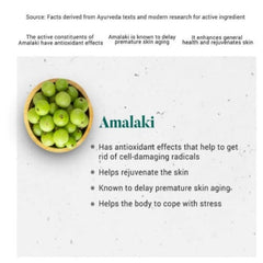 Himalaya Pure Herbs Immunity Wellness Herbal Ayurvedic Amalaki Fördert die Gesundheit 60 Tabletten