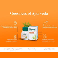 Himalaya Pure Herbs Аюрведический препарат Шатавари для женского здоровья, способствующий лактации, 60 таблеток