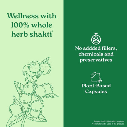 Organic India Ayurvedic Garcinia Cambogia Capsule