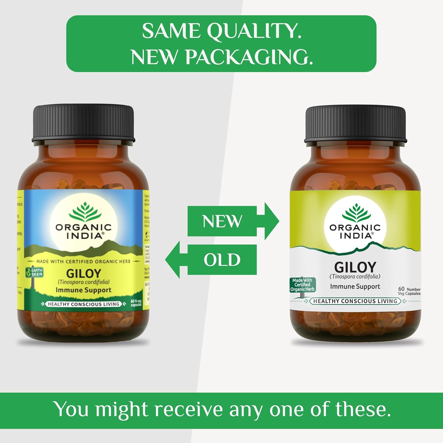 Organic India Giloy for Powerful Immunity Boost & Gut Health Capsule