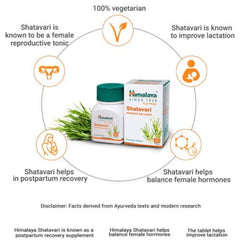 Himalaya Pure Herbs Аюрведический препарат Шатавари для женского здоровья, способствующий лактации, 60 таблеток