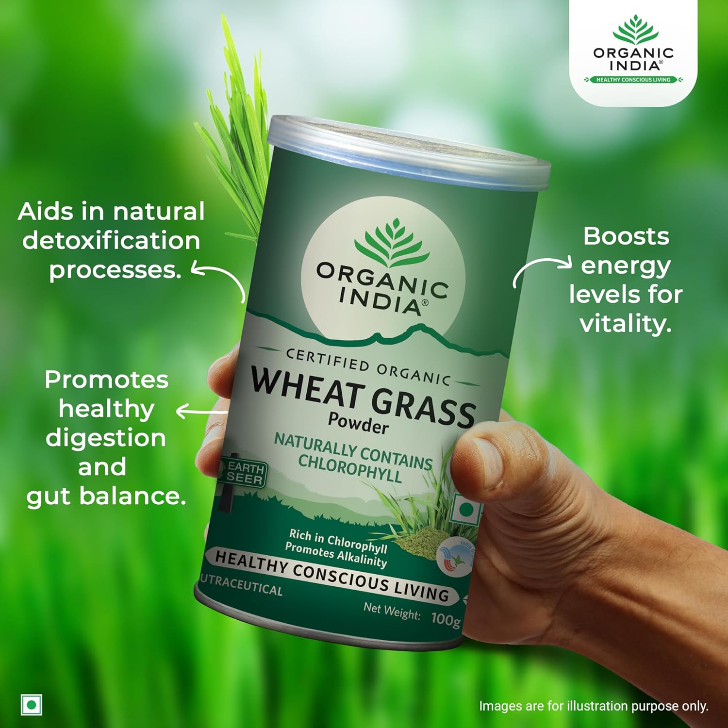 Organic India Organic Wheatgrass Powder 100g