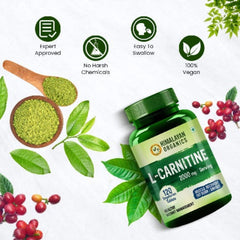 Himalayan Organics L-Carnitin 2000 mg/Portion, unterstützt Muskelregeneration, Fettverbrennung und Energie, vegetarische Tabletten