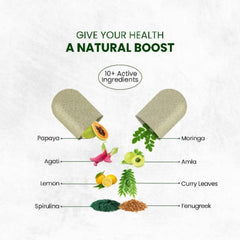 Pflanzliches Vitamin B1 von Himalayan Organics, reich an Antioxidantien, unterstützt Gedächtnis und Energie (120 Kapseln)