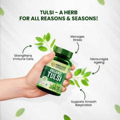 Himalayan Organics Bio-Tulsi-Tabletten Heiliges Basilikum lindert Husten und Erkältung und stärkt das Immunsystem auf natürliche Weise (120 Tabletten)