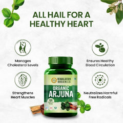 Himalayan Organics Ayurvedische Arjuna-Tabletten, unterstützt die Herzgesundheit, reguliert den Cholesterinspiegel (120 Tabletten)