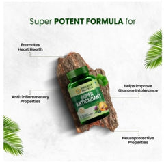Himalayan Organics Super Antioxidant Supplement, Antioxidantien-Kraftpaket für die allgemeine Gesundheit (60 Kapseln)