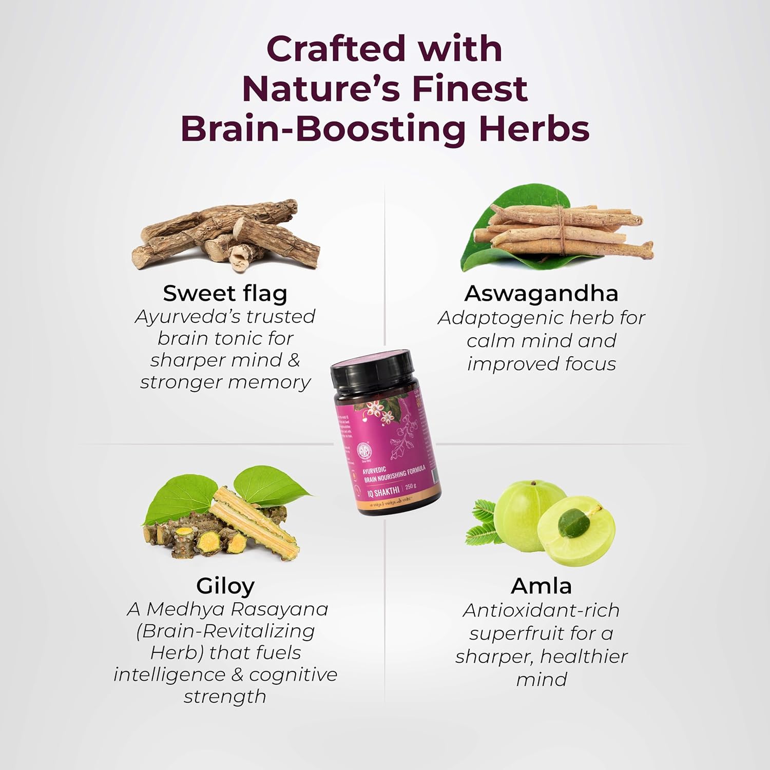 AVP Ayurvedic IQ Shakti Proprietary Lehyam Paste 250g