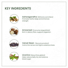 AVP Ayurvedic Aswagandhadi Lehyam Paste 200g & 400g