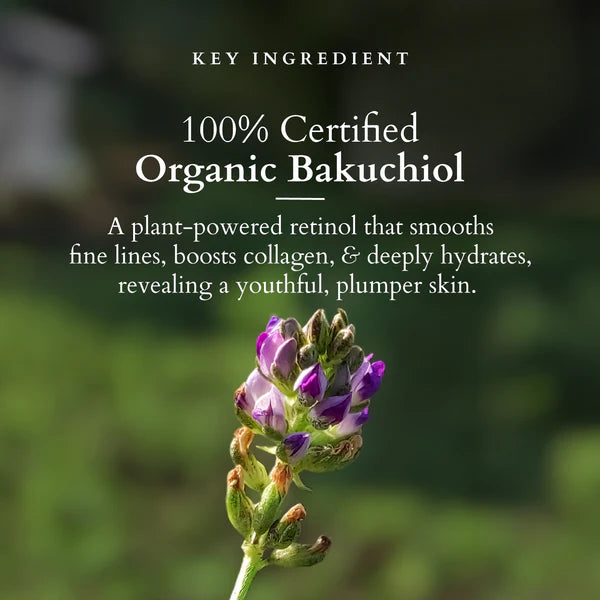 Lotus Organics+ Cosmetics Bakuchiol Plant Retinol Crème 50g