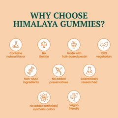 Himalaya Ayurvedic Healthy Turmeric Gummies 30's & 60's