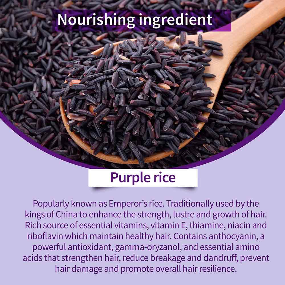 Aimil Ayouthveda Cosmetics Purple Rice Hair Care Combo Shampoo & Conditioner