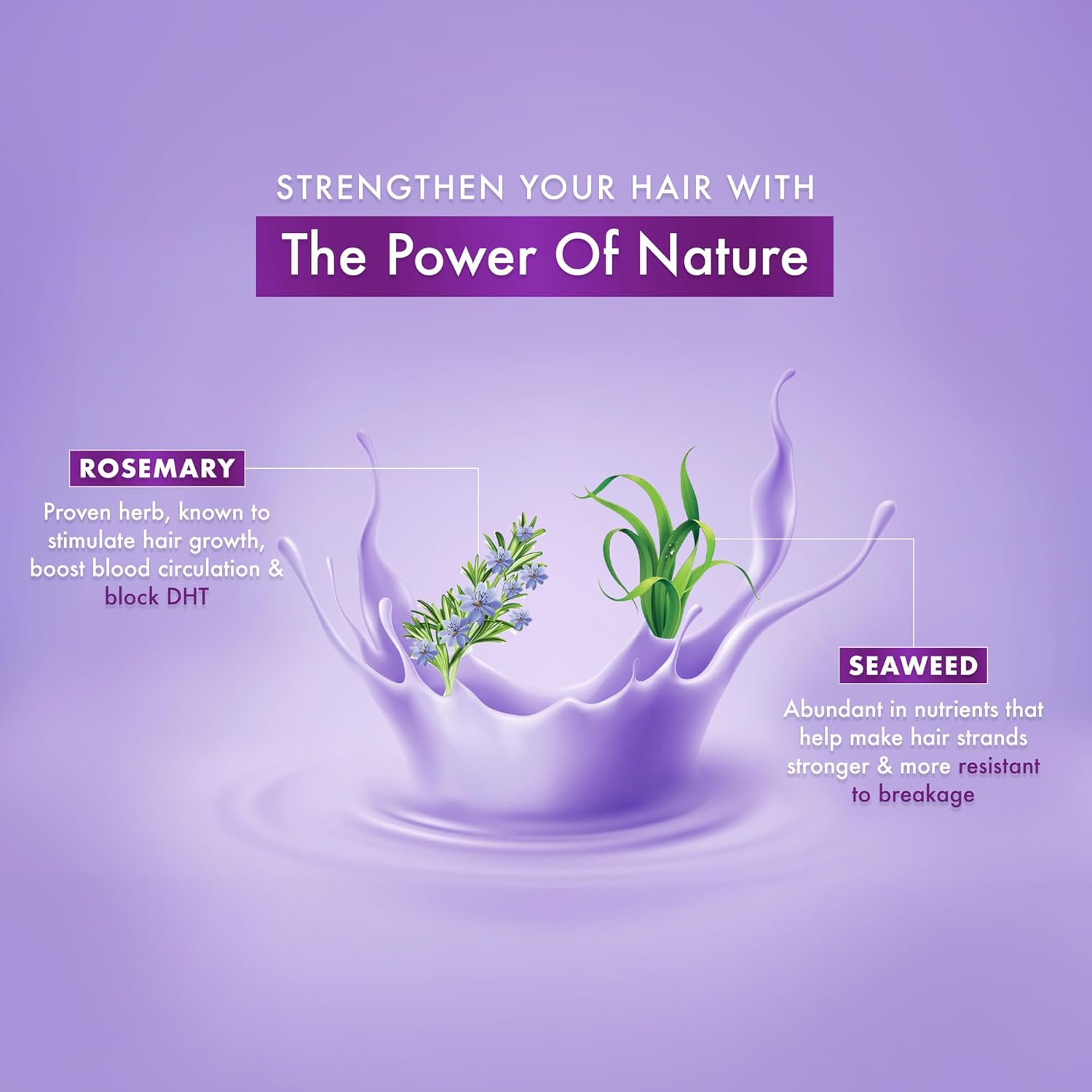 Dabur Ayurvedic Vatika Rosemary & Seaweed Anti Hair fall Shampoo 640ml