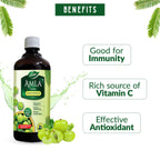Dabur Ayurvedic Aloe Vera,Giloy,Giloy Neem Tulsi,Jamun Neem Karela,Triphala & Amla Juice 1 Liter