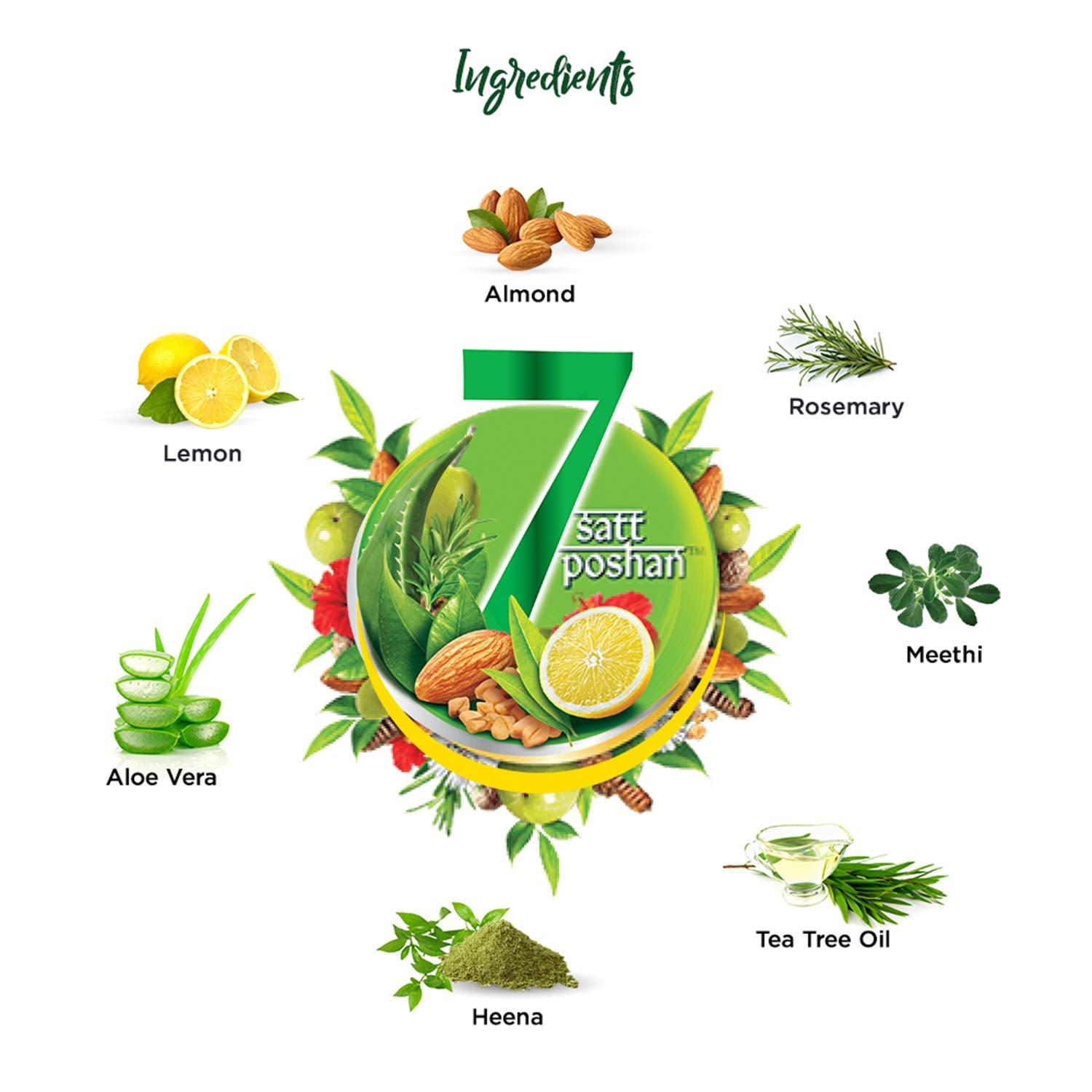 Dabur Ayurvedic Vatika Naturals Anti Dandruff Hair Shampoo