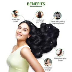 Dabur Ayurvedic Amla Hair Oil