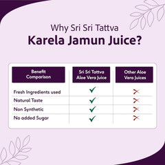 Sri Sri Tattva Ayurvedic Karela Jamun Juice Formula For Blood Sugar Levels Liquid
