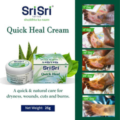 Sri Sri Tattva Ayurvedic Quick Heal Cream 25gm