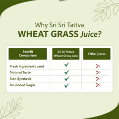 Sri Sri Tattva Ayurvedic Wheat Grass Juice Daily Fitness Essential Liquid 1 Litre