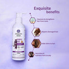 Aimil Ayouthveda Cosmetics Purple Rice Shampoo 200ml