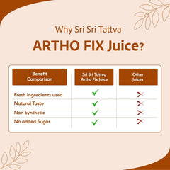 Sri Sri Tattva Ayurvedischer Artho Fix-Saft unterstützt die Gelenkbeweglichkeit 1 Liter