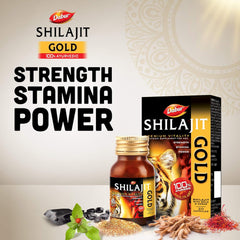 Dabur Ayurvedic Shilajit Gold Capsules