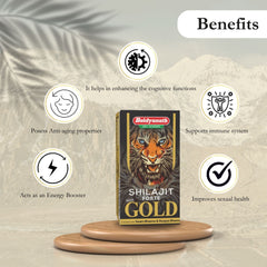 Baidhyanath Ayurvedic Shilajit Forte With Gold 20 Capsule