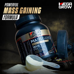 Leeford Megagrow Mass Gainer Banana Flavour With Shaker Powder 1 Kg